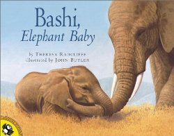 Bashi, Elephant Baby