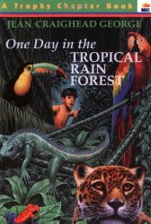 One Day In the Tropical Rain Forest