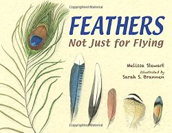 Feathers: Not Just for Flying