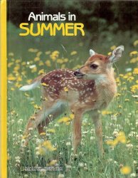 Animals in Summer