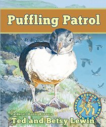 Puffling Patrol