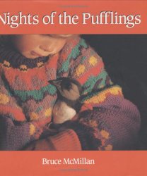 Nights of the pufflings