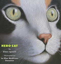 Hero Cat