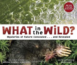 What in the Wild? Mysteries of Nature Concealed...and Revealed
