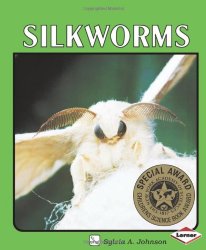 Silkworms