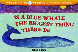 Is a Blue Whale the Biggest Thing There Is?