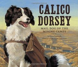 Calico Dorsey