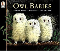 Owl Babies